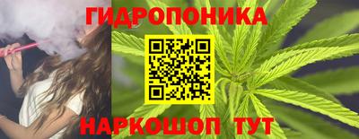 Альфа ПВП Сланцы