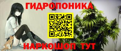 Альфа ПВП Сланцы