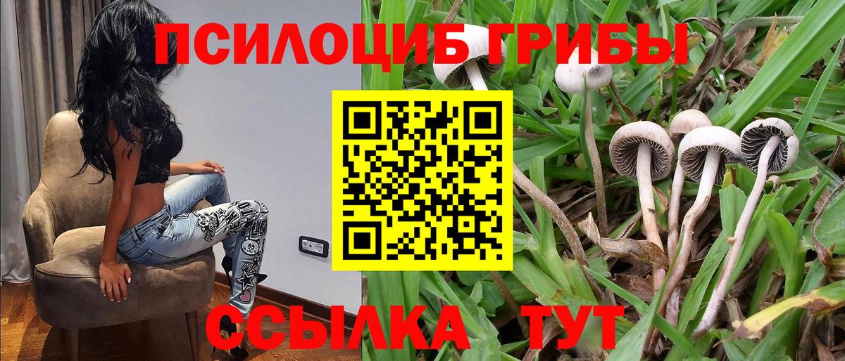 Партизанск  Галлюциногенные грибы мухоморы  Вход с VPN  Псилоцибиновые грибы GOLDEN TEACHER 