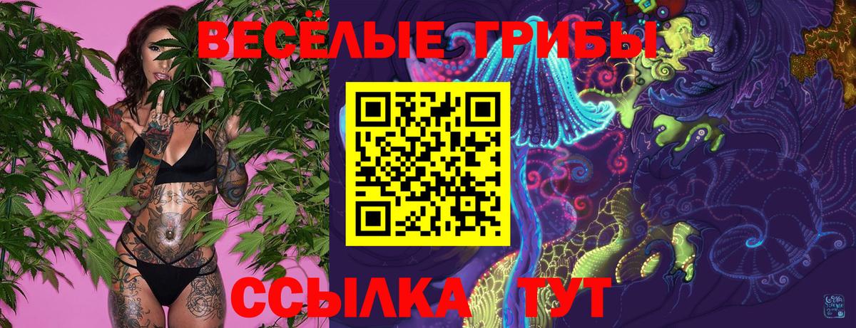 Кодеин Партизанск