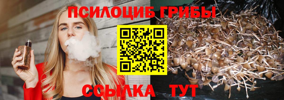 Галлюциногенные грибы ЛСД Партизанск